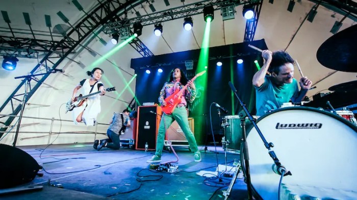 DEERHOOF discography and reviews Deerhoof and dal niente announce collaborative lp balter saunier share cherubim