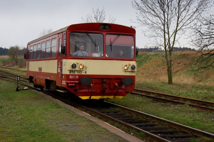 Train a Hamster Not to Bite