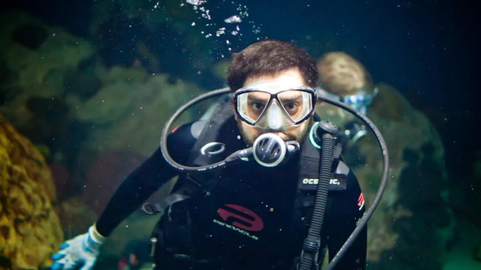 Watch Animal Collective Scuba Dive A Deep Dive