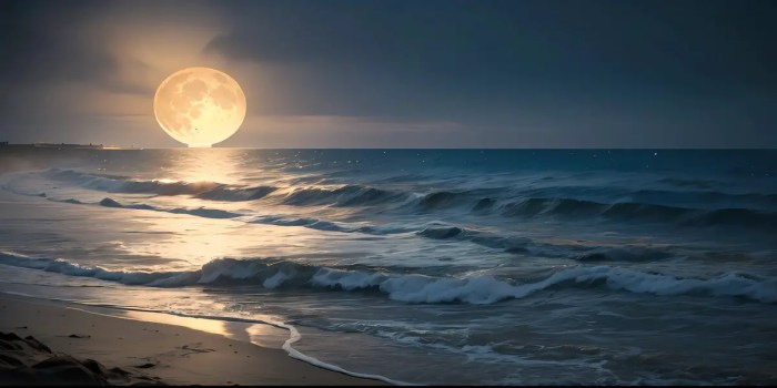 Full Moon On Caribbean Beach White Wake On Stock Footage SBV-347326377 ... Beach on the moon