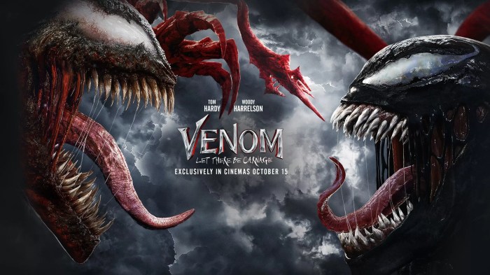 Venom vs. Carnage Upcoming Solo Film