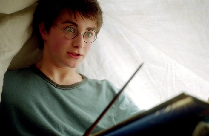 Newt Scamander – Harry Potter Lexicon Newt harry heroes wizarding world
