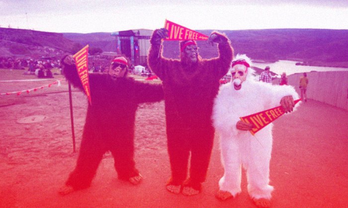 Pitchfork guide to summer festivals