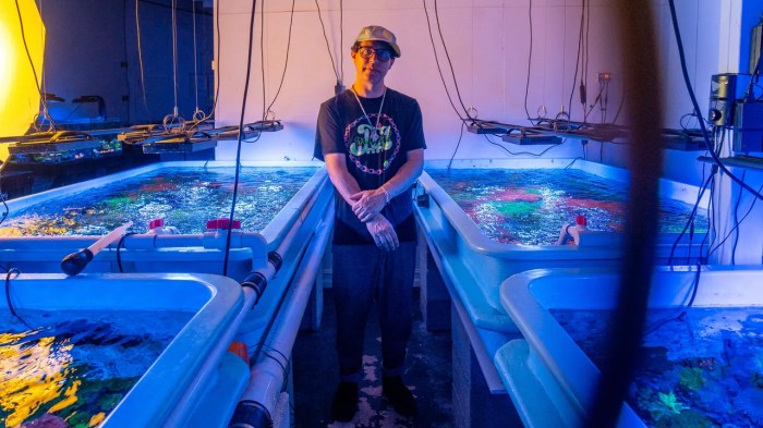 Animal Collective Cancel Shows After Avey Tare and Deakin Test Positive ... Animal collectives avey tare reveals all about new ep film tour hiatus