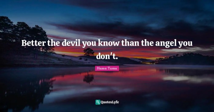 Amaarae the angel you dont know