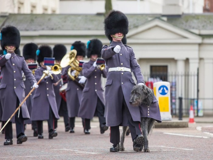 Guards ready to go