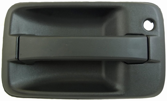 Dorman 760-5607 Exterior Door Handle | Fits Chevrolet LCF 3500 Cope if You Fail Your First Year at University