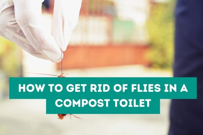 Get Rid of Flies in Compost Toilet