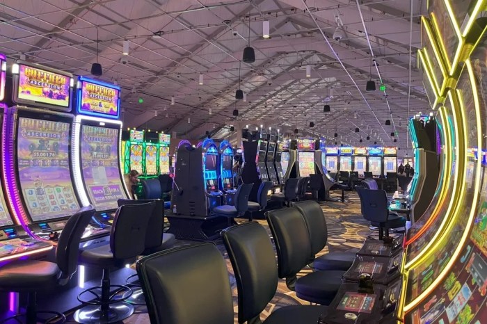 Casino Life 2 Brown Bag Legend A Deep Dive