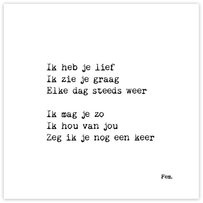 Say I Love You in Dutch A Deep Dive