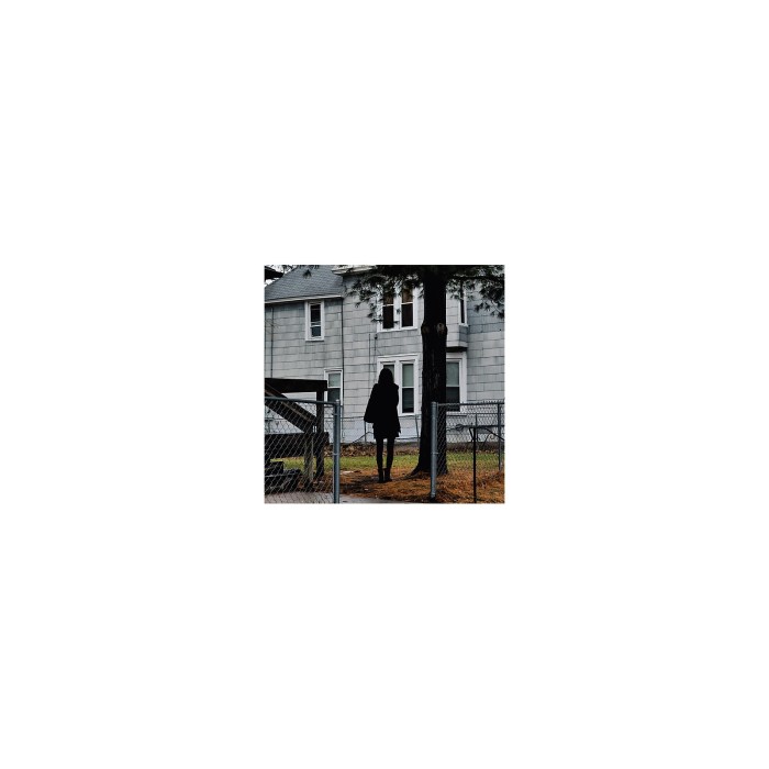 Tallest Mans New Album Dark Bird Is Home