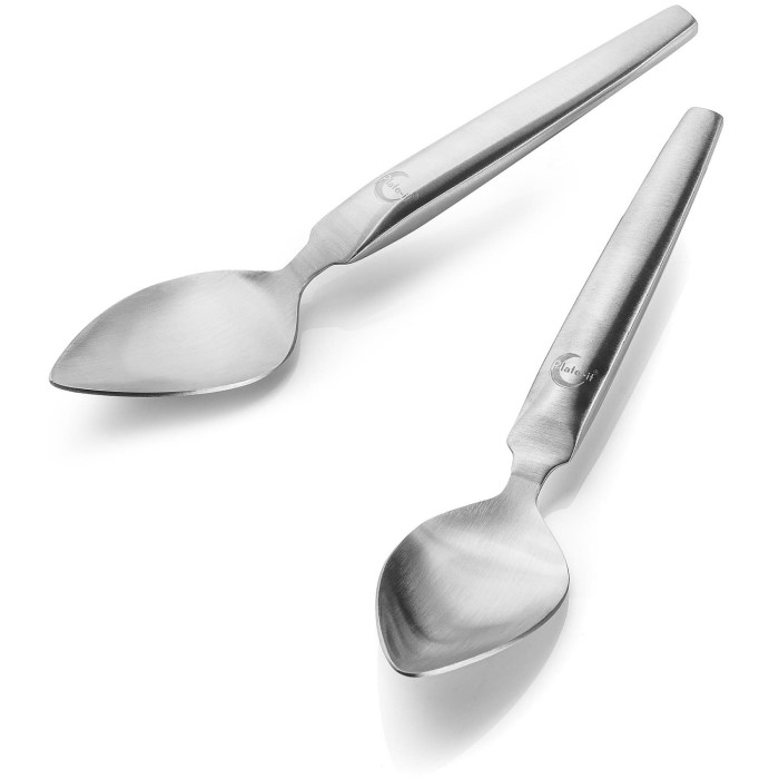 Plate-It Quenelle Spoon Set Large 2-Pieces - PIQuenellesL | Knivesworld.eu Spoon j mascis do dandy warhols charity project
