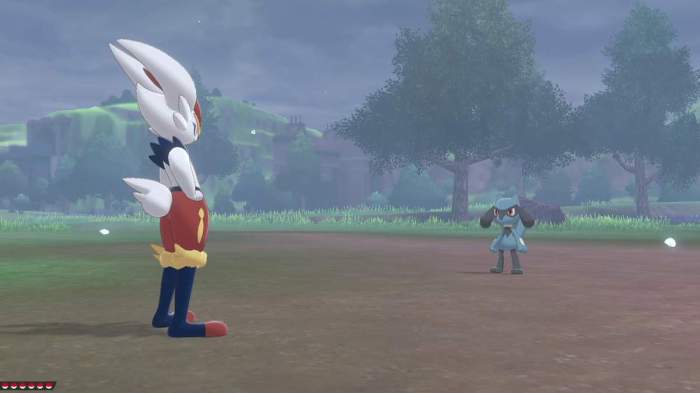 What Level Does Riolu Evolve Find and Evolve Riolu