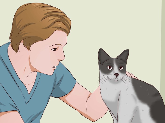 How to Remove Cat Urine Smell (with Pictures) - wikiHow Get Rid of Cat Spray Odor