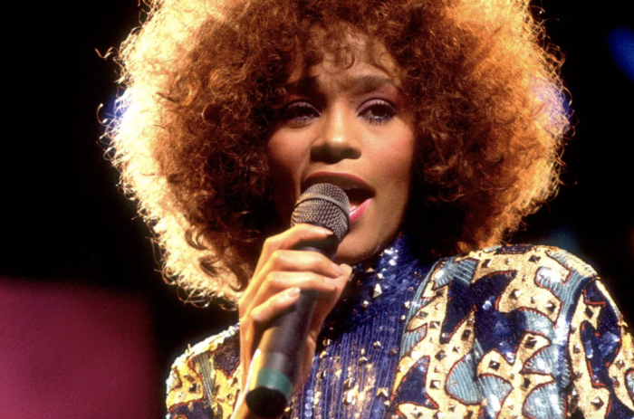 Whitney Forever Turned Around A Deep Dive