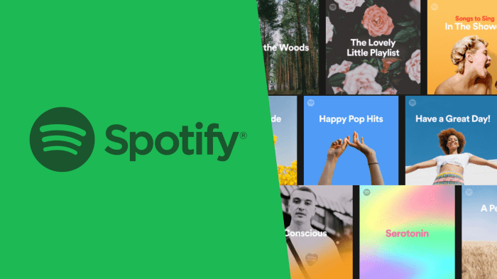 Put Your Music on Spotify A Deep Dive