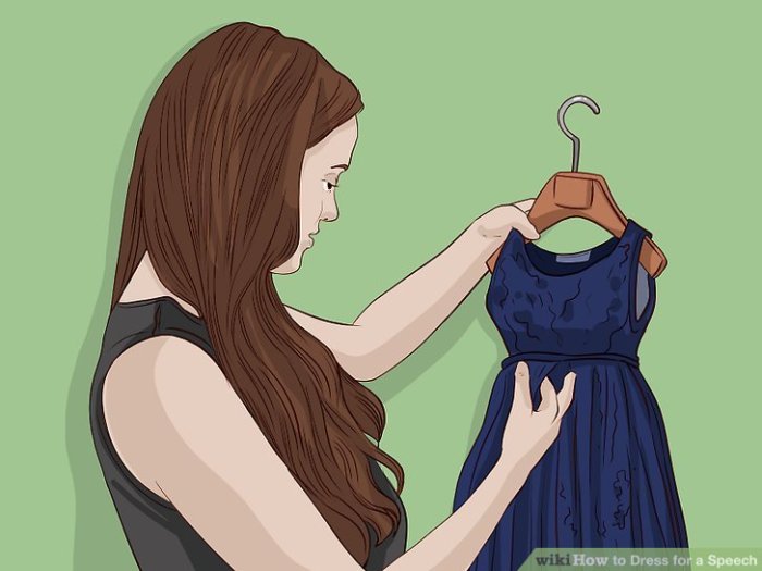 Dress for a Speech