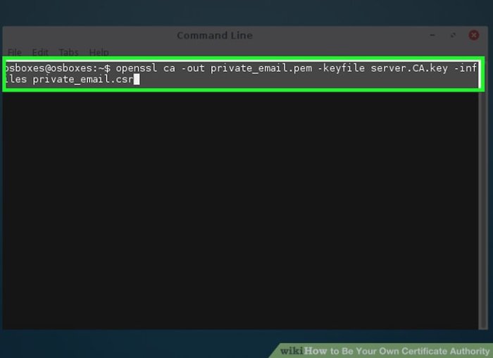 Create Root Certificate Authority (Root CA) in EJBCA - YouTube Be Your Own Certificate Authority