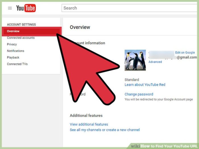 Find Your YouTube URL