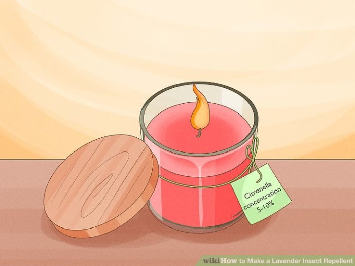 3 Ways to Make a Lavender Insect Repellent - wikiHow Make a Lavender Insect Repellent