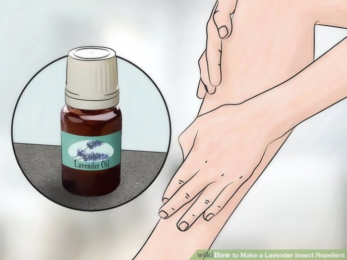 Make a Lavender Insect Repellent