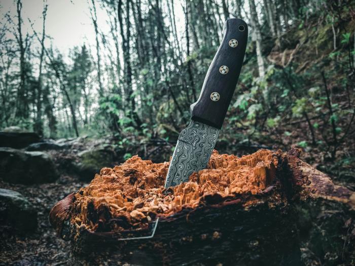 Sharpen a Pocket Knife Your Guide