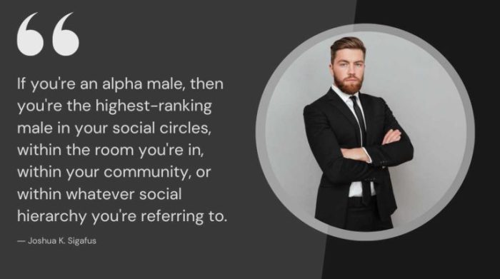 Keep an Alpha Male Interested