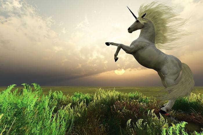 Unicornio 1080P, 2K, 4K, 5K HD wallpapers free download | Wallpaper Flare What Is a Unicorn in a Relationship