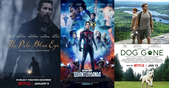 Oscar-Winning Directors Misfires
