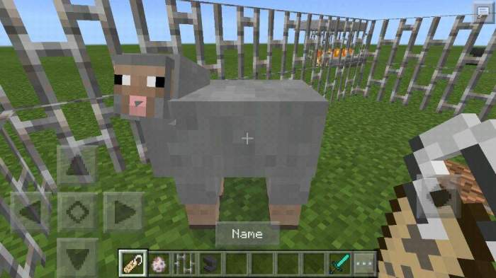 Make a Rainbow Sheep in Minecraft A Guide