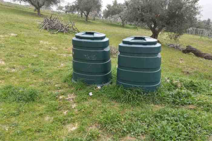 Get Rid of Flies in Compost Toilet – A Guide