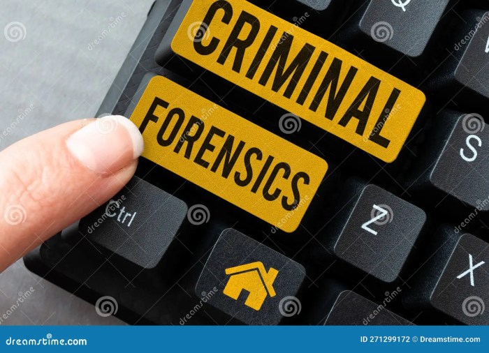 Text Sign Showing Criminal Forensics. Business Approach Federal Offense ... Seal under investigation for forcible kissing and groping report