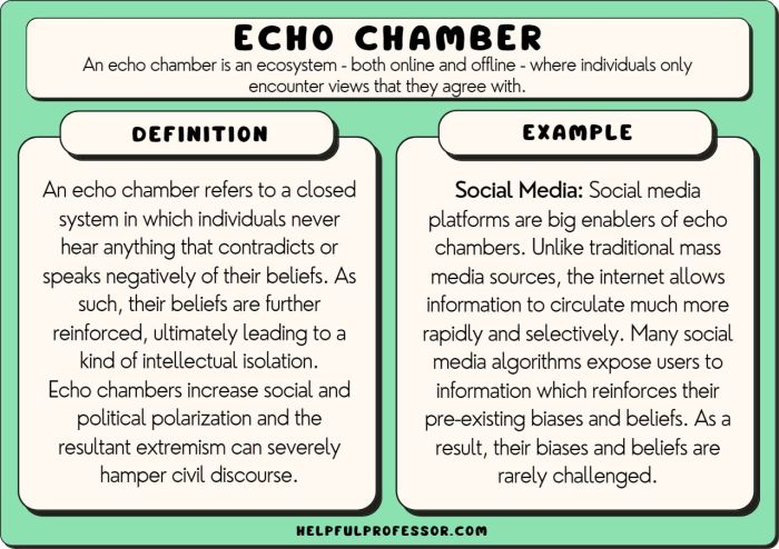 Echo Chamber Broken Social Scene A Deep Dive