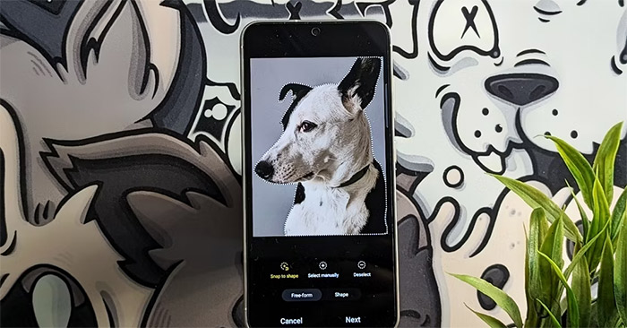 Add Stickers to Photos on Samsung Galaxy – Your Guide