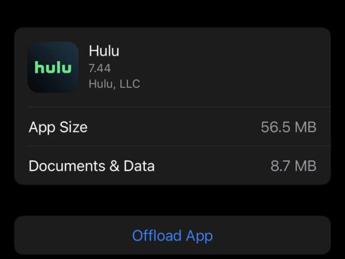 Fix: Hulu App Audio Not Working on iPad Hulu App No Sound iPhone