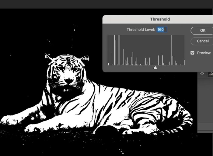 Make a Stencil in Photoshop