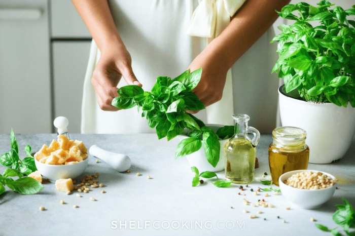 Prepare and Store Fresh Thyme