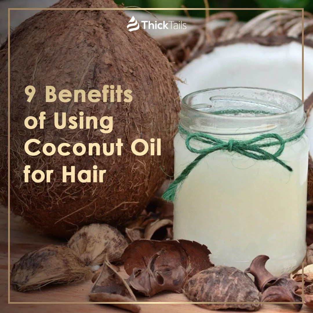 Use Coconut Oil for Your Hair A Deep Dive