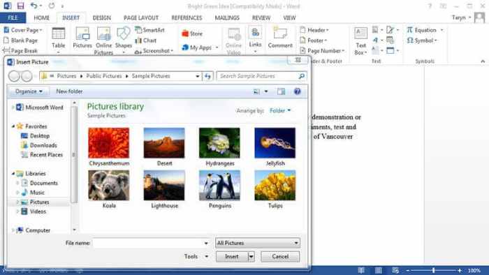 How to Add Images to a Microsoft Word Document: Quick Guide Add Images to a Microsoft Word Document