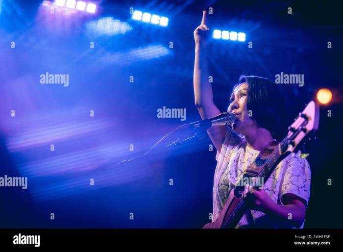 Boredoms Deerhoof No Age Caribou Plan NYC ATP Special
