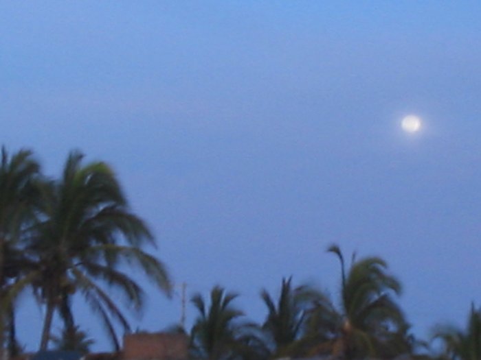 moon on the beach Free Photo Download | FreeImages Beach on the moon