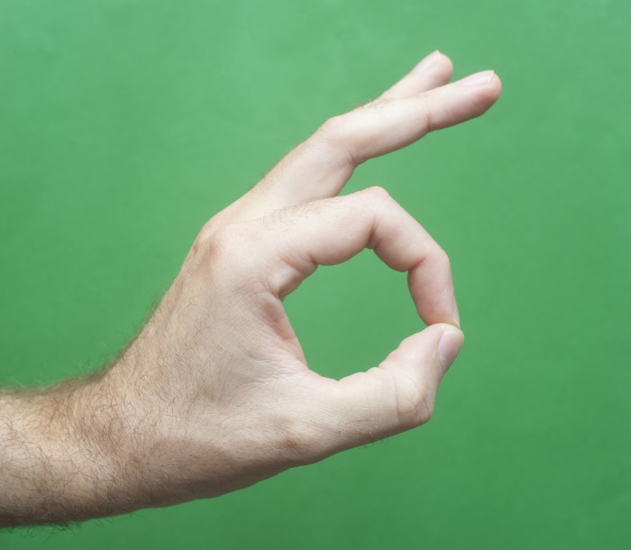 Free Image of Conceptual Man Hand Showing Okay Sign | Freebie.Photography Okay kaya ascend and try again