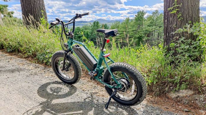 Build an Inexpensive Electric Bicycle A Guide