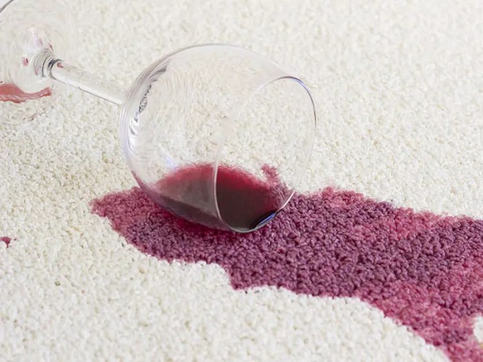 Get Red Wine Out of a Couch – A Guide