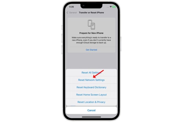 Reset Network Settings on iPhone A Comprehensive Guide