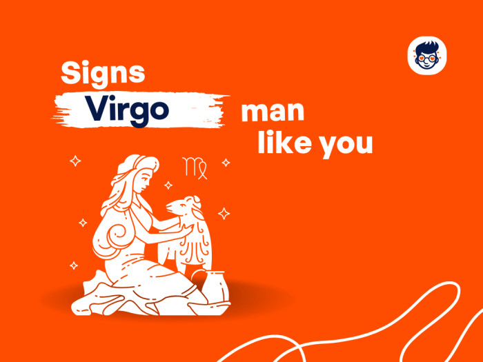 Decoding Virgo Mans Attraction