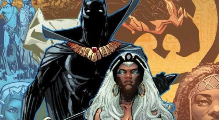 Dark Ages Renews a Beloved Marvel Marriage - ComicBook.com Black panther storm married