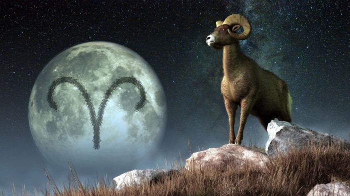 Which Zodiac Sign Is the Meanest
