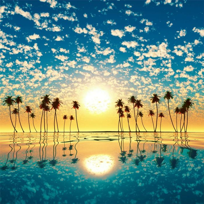 Tree horizon sea sunset 4k iPad Air Wallpapers Free Download Horizon zero dawn 2 even more robots