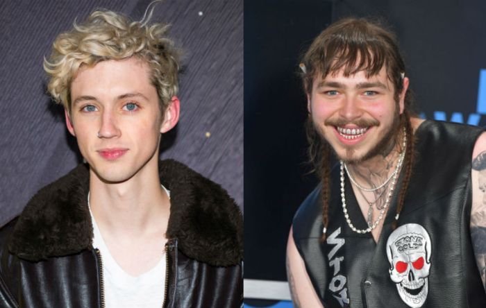 Troye Sivan Covers Post Malone Better Now Listen